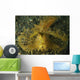 Green Ambon Scorpionfish North Wall Decal Design 2