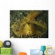 Green Ambon Scorpionfish North Wall Decal Design 2