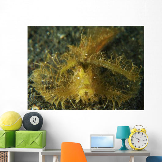 Green Ambon Scorpionfish North Wall Decal Design 2