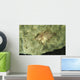 Beige Juvenile Filefish Hiding Wall Decal
