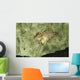 Beige Juvenile Filefish Hiding Wall Decal