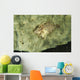 Beige Juvenile Filefish Hiding Wall Decal