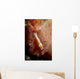 Emperor Commensal Shrimp Nudibranch Wall Decal