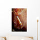 Emperor Commensal Shrimp Nudibranch Wall Decal