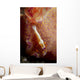 Emperor Commensal Shrimp Nudibranch Wall Decal