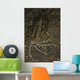Cockatoo Flounder Black Sand Wall Decal