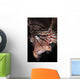 Face Shot Red Lionfish Wall Decal