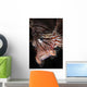 Face Shot Red Lionfish Wall Decal