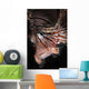 Face Shot Red Lionfish Wall Decal