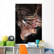 Face Shot Red Lionfish Wall Decal