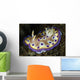Chromodoris Kuniei Nudibranch North Wall Decal