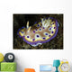 Chromodoris Kuniei Nudibranch North Wall Decal