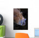 Pinkish Brown Frogfish with Wall Decal