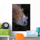Pinkish Brown Frogfish with Wall Decal