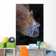 Pinkish Brown Frogfish with Wall Decal