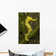 Bright Yellow Thorny Seahorse Wall Decal