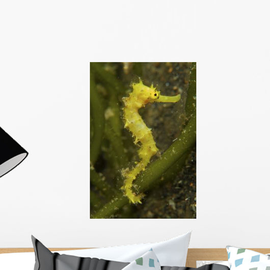 Bright Yellow Thorny Seahorse Wall Decal