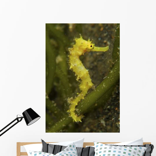 Bright Yellow Thorny Seahorse Wall Decal