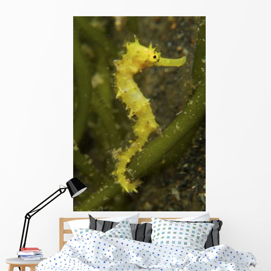Bright Yellow Thorny Seahorse Wall Decal