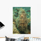 Head Shot Brown Frogfish Wall Decal