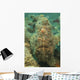 Head Shot Brown Frogfish Wall Decal