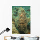 Head Shot Brown Frogfish Wall Decal