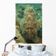 Head Shot Brown Frogfish Wall Decal