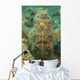 Head Shot Brown Frogfish Wall Decal