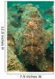 Head Shot Brown Frogfish Wall Decal