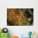 Striated Frogfish North Sulawesi Wall Decal
