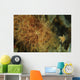Striated Frogfish North Sulawesi Wall Decal
