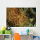 Striated Frogfish North Sulawesi Wall Decal