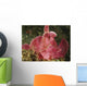 Face Shot Pink Scorpionfish Wall Decal