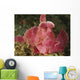 Face Shot Pink Scorpionfish Wall Decal