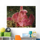 Face Shot Pink Scorpionfish Wall Decal