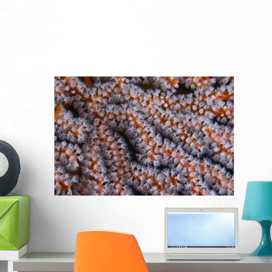 Orange Gorgonian Sea Fan Wall Decal