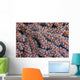 Orange Gorgonian Sea Fan Wall Decal