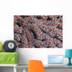 Orange Gorgonian Sea Fan Wall Decal