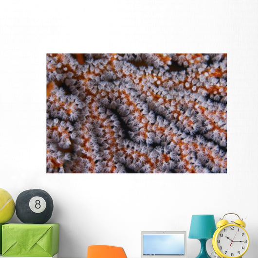 Orange Gorgonian Sea Fan Wall Decal