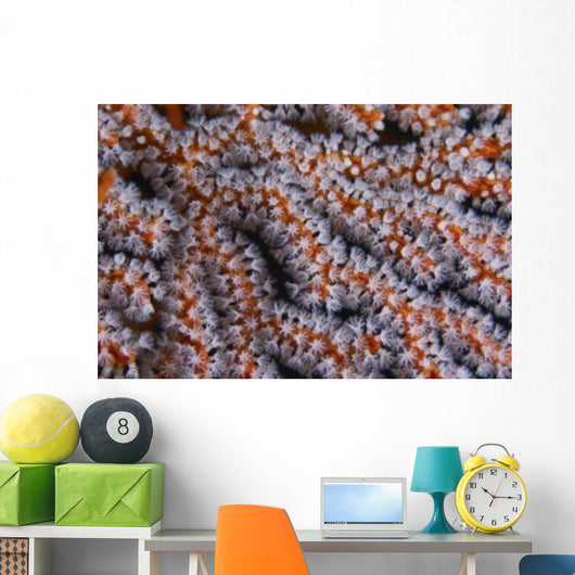 Orange Gorgonian Sea Fan Wall Decal