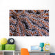 Orange Gorgonian Sea Fan Wall Decal