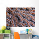 Orange Gorgonian Sea Fan Wall Decal