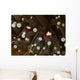 Mushroom Coral Ghost Shrimps Wall Decal