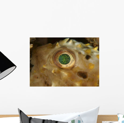 Detail Green Speckled Eye Wall Decal