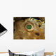 Detail Green Speckled Eye Wall Decal