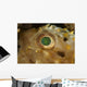 Detail Green Speckled Eye Wall Decal