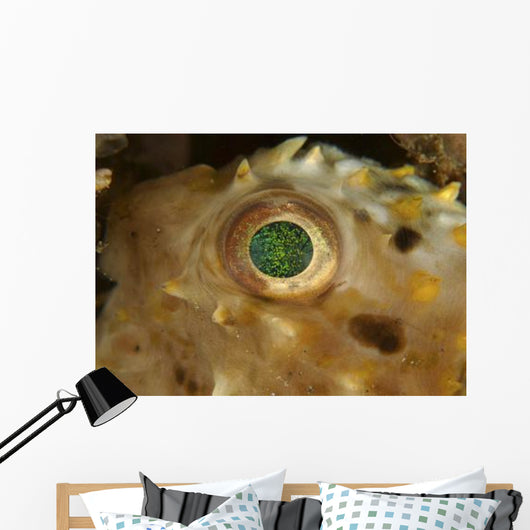 Detail Green Speckled Eye Wall Decal