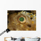 Detail Green Speckled Eye Wall Decal
