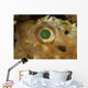 Detail Green Speckled Eye Wall Decal