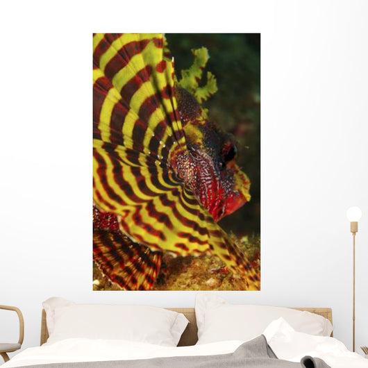 Bright Yellow and Red Wall Decal
